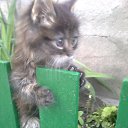  , , 36  -  30  2010       !!!=)