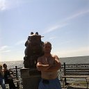 ���� �������, ������, 43 ���� - ��������� 29 ������ 2013