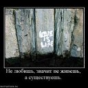   ...),  , 33  -  29  2010    ...)