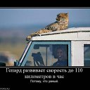 ���� ��������, ������, 32 ���� - ��������� 13 ������ 2012 � ������ ���� ����������