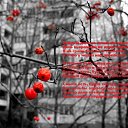 ���� ����� *��*, ������, 28 ��� - ��������� 3 ����� 2011 � ������ �LoVe�