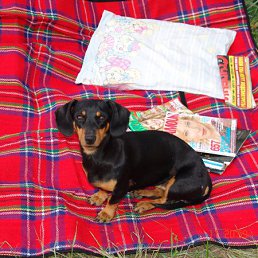 ���� Natusik, �����������, 48 ��� - ��������� 27 ���� 2011