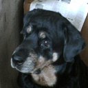 ���� �����, �������, 63 ���� - ��������� 13 ������� 2011 � ������ �߻