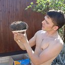 ���� �������, ��������, 43 ���� - ��������� 8 ������� 2011 � ������ ���� ����������