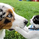 ���� E��������, ������, 59 ��� - ��������� 26 ���� 2013 � ������ ������ ��������