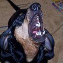 ���� �����, ��������� - ��������� 7 ���� 2011 � ������ �������