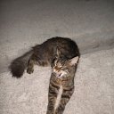  , , 36  -  30  2010       !!!=)