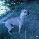 ���� ������, ��������������, 49 ��� - ��������� 20 ����� 2011 � ������ ���� ��������