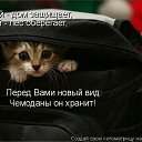 ���� ���������, �����-���������, 83 ���� - ��������� 1 ���� 2011 � ������ ������������� � �����������