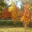 ���� ���, ����� - ��������� 20 �������� 2010 � ������ ��������� ������������