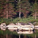 ���� �����, ��������, 56 ��� - ��������� 9 ��� 2013 � ������ ���� ����������