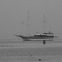 ���� Skymer, ����������, 48 ��� - ��������� 6 ������� 2010