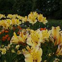  , , 72  -  11  2013     λ