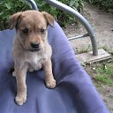 ���� ������, ������, 70 ��� - ��������� 1 ������� 2011 � ������ �RoadKing�