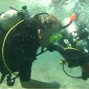 ���� ��������, �����, 65 ��� - ��������� 31 ��� 2012 � ������ ���� ����������