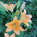 ���� : �� ������� :, ������, 54 ���� - ��������� 1 ������ 2013 � ������ ���