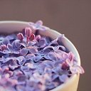  Back To Real Life, , 57  -  20  2012    