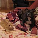 ���� �����, ������ - ��������� 14 ��� 2011 � ������ ���� ����������