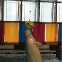 ���� �����, ���������, 60 ��� - ��������� 4 ��� 2011 � ������ �� �...�