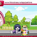   (), , 39  -  11  2010   PetLove