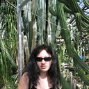  , , 33  -  15  2009   . .  