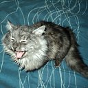 ���� ���������, �����������, 43 ���� - ��������� 29 ������� 2012 � ������ ���� ������