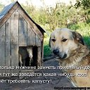 ���� �����, ��������, 40 ��� - ��������� 5 ��� 2013 � ������ �����