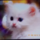 ���� �������, �������� - ��������� 22 �������� 2012 � ������ ����� ��������-������...�