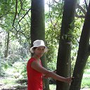   (), , 39  -  28  2010    2010