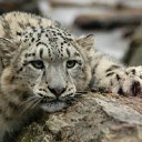 � ��� �����, ������ ��� ���� �����... �� ������� ���� ������� ������� � ����)�
