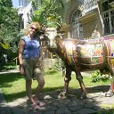 � ���� �� ������� �mio�