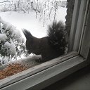 ���� Mikhail, ������� - ��������� 9 ������� 2012 � ������ ���� ����������