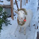 ��� ���� ����� ������, � ���, ��� �� �����������? �� ������� ���� ����������