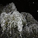 ���� �����, ������������, 32 ���� - ��������� 24 ������� 2011 � ������ ���� ����������