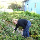 ���� �� ������� �����