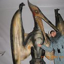 � �������� ��������, ���� ���� �� ���������...))) �� ������� ���� ����������