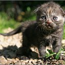 ���� ��� ����� :D, ����� - ��������� 2 ������� 2012 � ������ ���� ����������