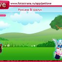 ���� �����, ����� ���, 41 ��� - ��������� 11 ������ 2010 � ������ �PetLove�