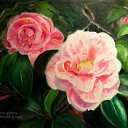 ���� ����, ������, 37 ��� - ��������� 5 ���� 2013 � ������ ���� ����������