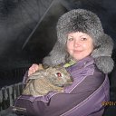 ���� �����, ������-��-���� - ��������� 12 ������ 2013 � ������ ���� ����������