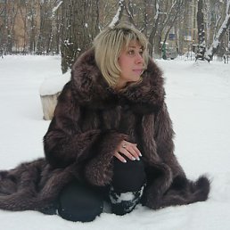 �����, ����, 53 ����