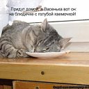 ���� ��������, ������ - ��������� 27 �������� 2010 � ������ ���������!!!�