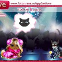  (), , 38  -  11  2010   PetLove