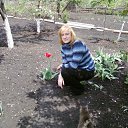 ���� ���, ��������, 42 ���� - ��������� 5 ������� 2011 � ������ ���� ����������