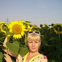 ������ �� ������� ���� ����������