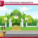���� ������, ������, 67 ��� - ��������� 26 ������� 2010 � ������ �PetLove�