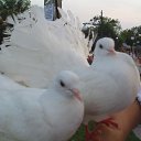 ���� ������, ������ ���, 59 ��� - ��������� 10 ���� 2012 � ������ ������ �� ����