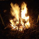 ���� ������, �����-���������, 61 ��� - ��������� 8 ����� 2013 � ������ ���� ����������