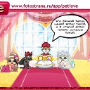  ......., , 34  -  12  2010   PetLove