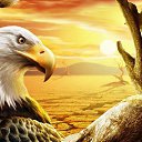 ���� ����� - ���������� ��������!!!, �����������, 56 ��� - ��������� 14 ������� 2009 � ������ ���������� �������Ż